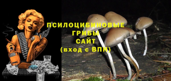 трава Мегион
