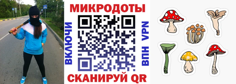 Купить закладки  Цимлянск  Галлюциногенные грибы Psilocybe 
